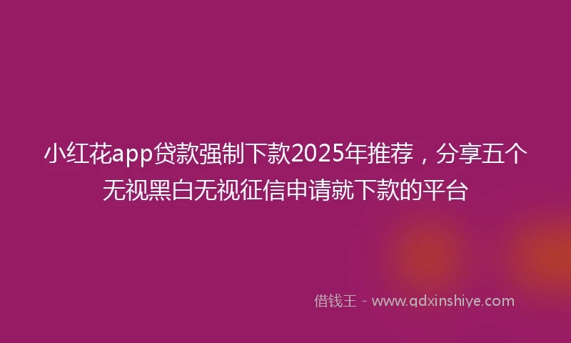 小红花app贷款强制下款2025年推荐，分享五个无视黑白无视征信申请就下款的平台