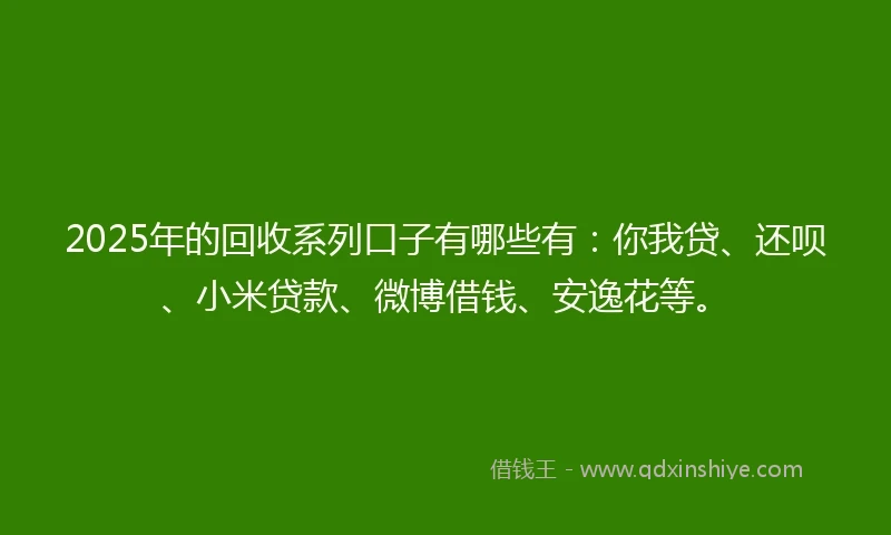 2025年的回收系列口子有哪些有：你我贷、还呗、小米贷款、微博借钱、安逸花等。