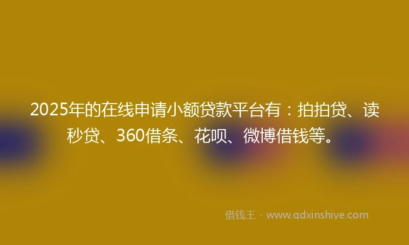 2025年的在线申请小额贷款平台有：拍拍贷、读秒贷、360借条、花呗、微博借钱等。