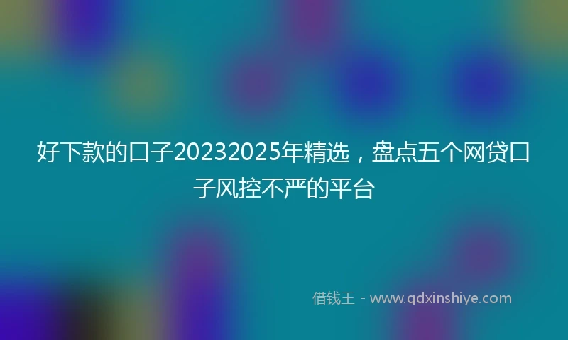 好下款的口子20232025年精选，盘点五个网贷口子风控不严的平台