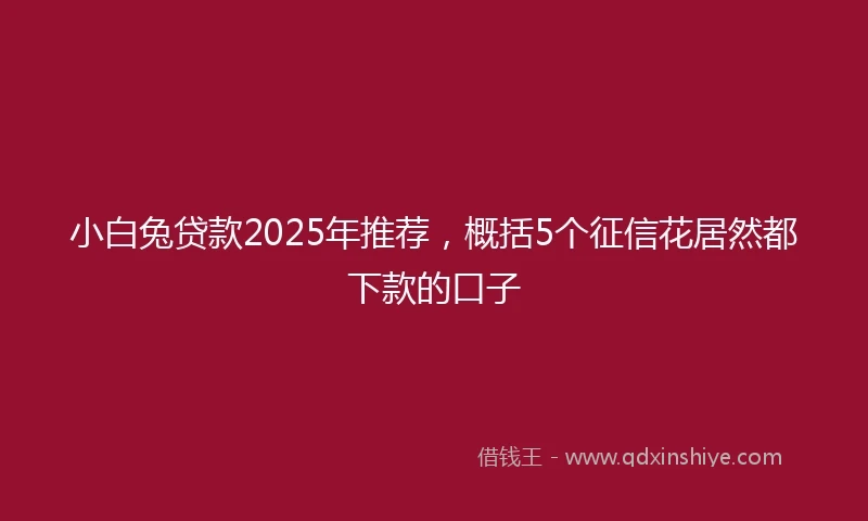 小白兔贷款2025年推荐，概括5个征信花居然都下款的口子