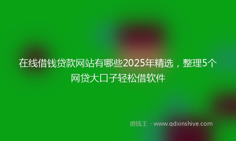 在线借钱贷款网站有哪些2025年精选，整理5个网贷大口子轻松借软件