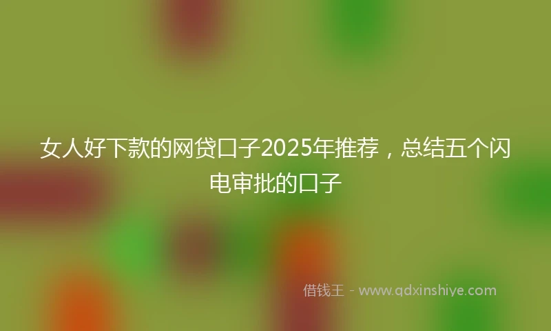 女人好下款的网贷口子2025年推荐，总结五个闪电审批的口子