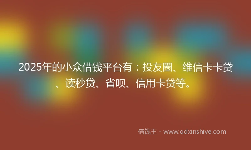 2025年的小众借钱平台有：投友圈、维信卡卡贷、读秒贷、省呗、信用卡贷等。