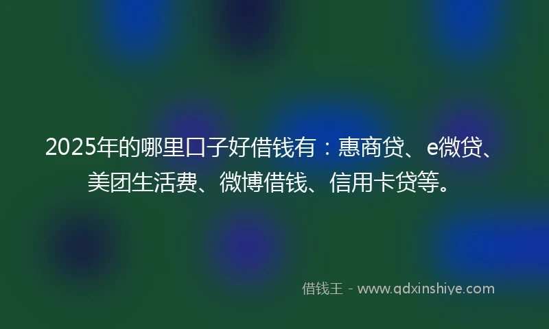 2025年的哪里口子好借钱有：惠商贷、e微贷、美团生活费、微博借钱、信用卡贷等。