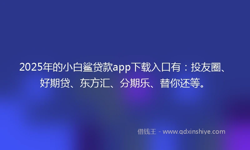 2025年的小白鲨贷款app下载入口有：投友圈、好期贷、东方汇、分期乐、替你还等。