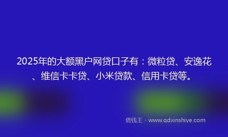 2025年的大额黑户网贷口子有：微粒贷、安逸花、维信卡卡贷、小米贷款、信用卡贷等。
