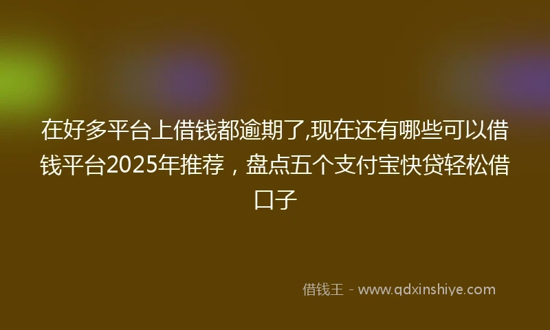 在好多平台上借钱都逾期了,现在还有哪些可以借钱平台2025年推荐，盘点五个支付宝快贷轻松借口子