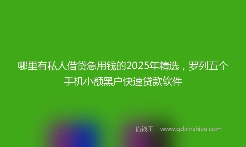 哪里有私人借贷急用钱的2025年精选，罗列五个手机小额黑户快速贷款软件