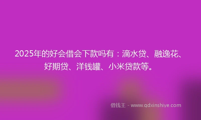 2025年的好会借会下款吗有：滴水贷、融逸花、好期贷、洋钱罐、小米贷款等。