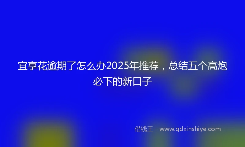 宜享花逾期了怎么办2025年推荐，总结五个高炮必下的新口子