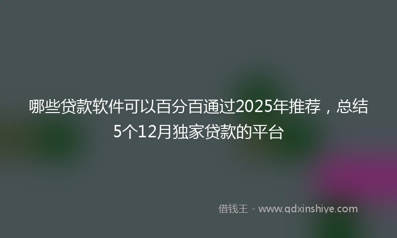 哪些贷款软件可以百分百通过2025年推荐，总结5个12月独家贷款的平台