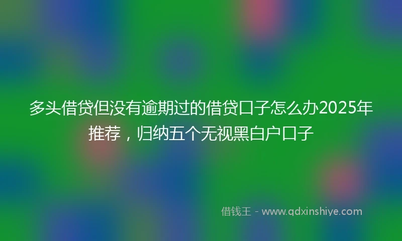 多头借贷但没有逾期过的借贷口子怎么办2025年推荐，归纳五个无视黑白户口子