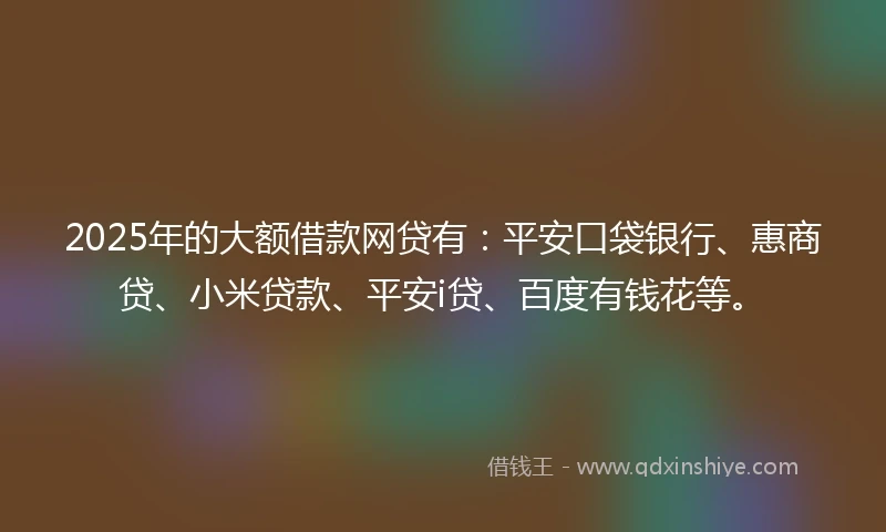 2025年的大额借款网贷有：平安口袋银行、惠商贷、小米贷款、平安i贷、百度有钱花等。