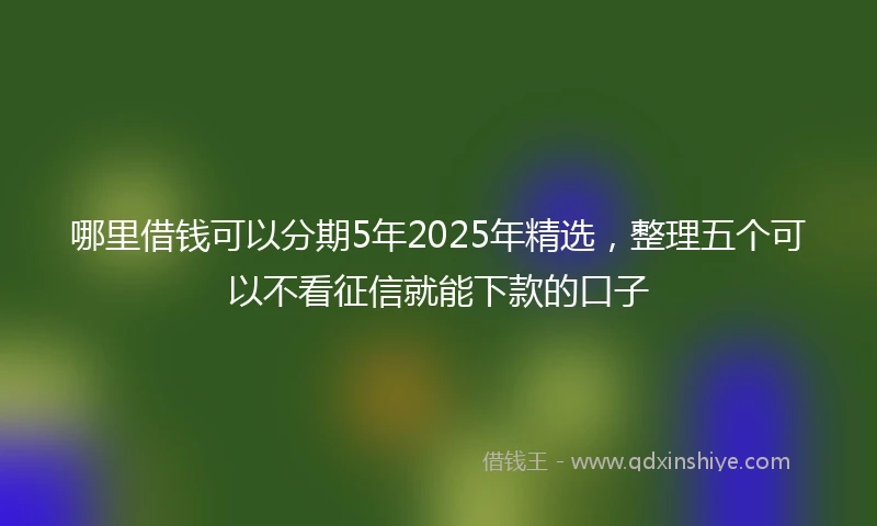 哪里借钱可以分期5年2025年精选，整理五个可以不看征信就能下款的口子