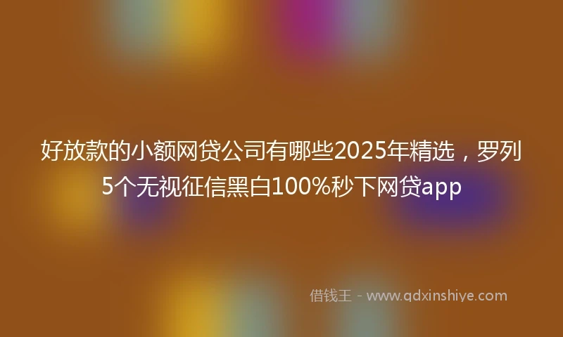 好放款的小额网贷公司有哪些2025年精选,罗列5个无视征信黑白100%秒下网贷app
