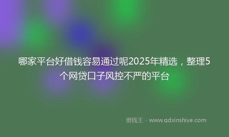 哪家平台好借钱容易通过呢2025年精选，整理5个网贷口子风控不严的平台