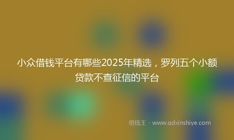 小众借钱平台有哪些2025年精选，罗列五个小额贷款不查征信的平台