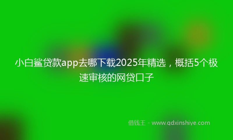 小白鲨贷款app去哪下载2025年精选，概括5个极速审核的网贷口子