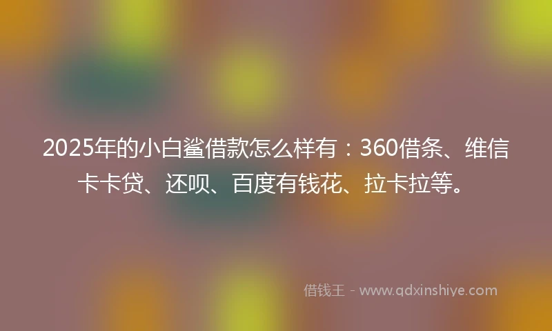 2025年的小白鲨借款怎么样有：360借条、维信卡卡贷、还呗、百度有钱花、拉卡拉等。