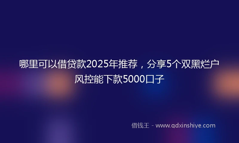 哪里可以借贷款2025年推荐，分享5个双黑烂户风控能下款5000口子