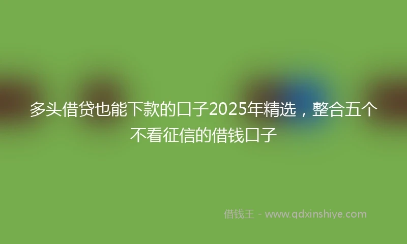 多头借贷也能下款的口子2025年精选，整合五个不看征信的借钱口子