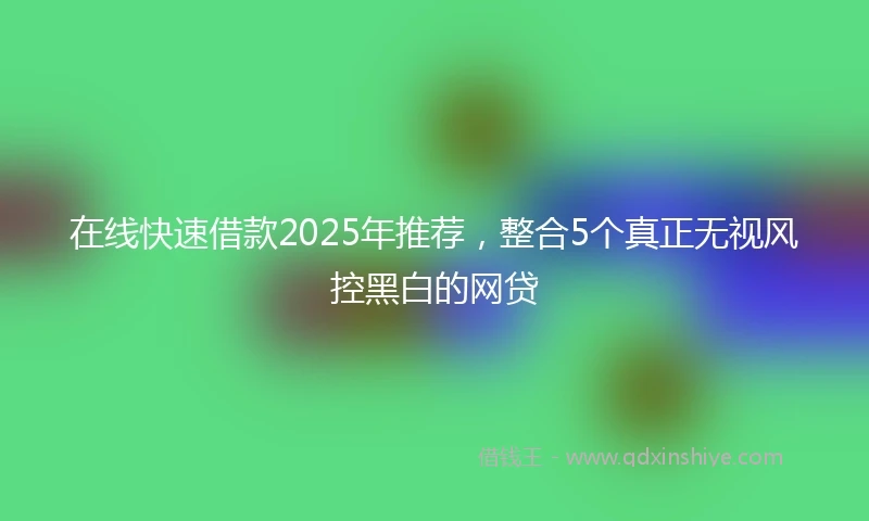在线快速借款2025年推荐,整合5个真正无视风控黑白的网贷