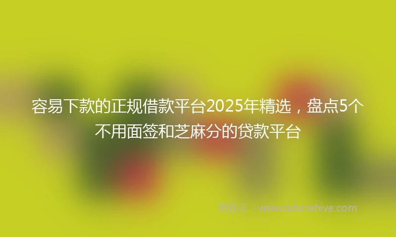 容易下款的正规借款平台2025年精选，盘点5个不用面签和芝麻分的贷款平台