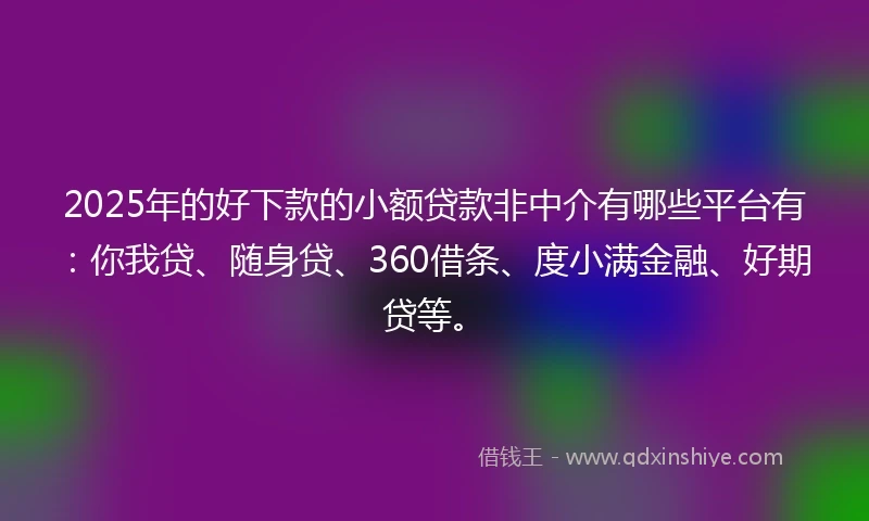 2025年的好下款的小额贷款非中介有哪些平台有：你我贷、随身贷、360借条、度小满金融、好期贷等。