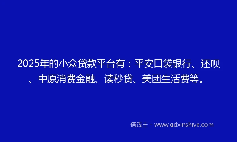 2025年的小众贷款平台有：平安口袋银行、还呗、中原消费金融、读秒贷、美团生活费等。