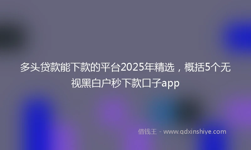 多头贷款能下款的平台2025年精选，概括5个无视黑白户秒下款口子app