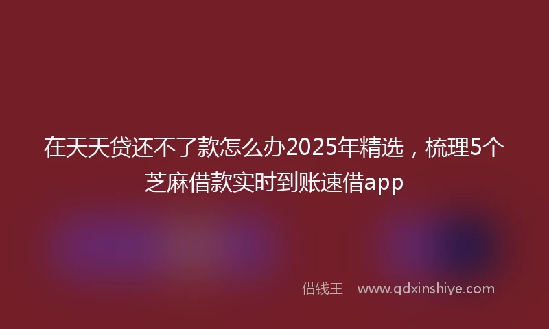 在天天贷还不了款怎么办2025年精选，梳理5个芝麻借款实时到账速借app
