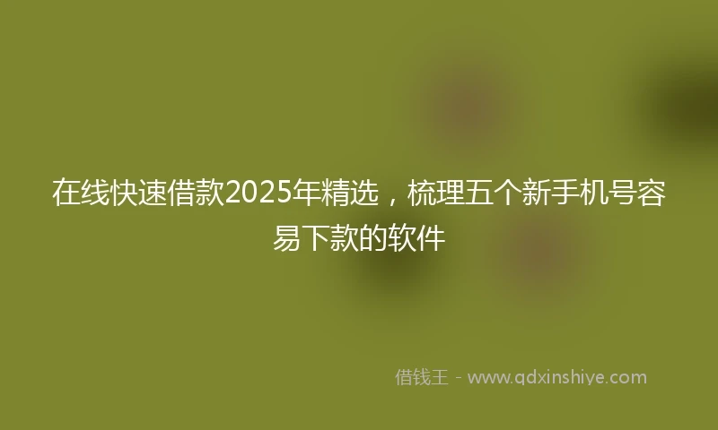 在线快速借款2025年精选，梳理五个新手机号容易下款的软件