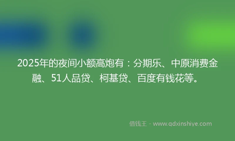 2025年的夜间小额高炮有：分期乐、中原消费金融、51人品贷、柯基贷、百度有钱花等。