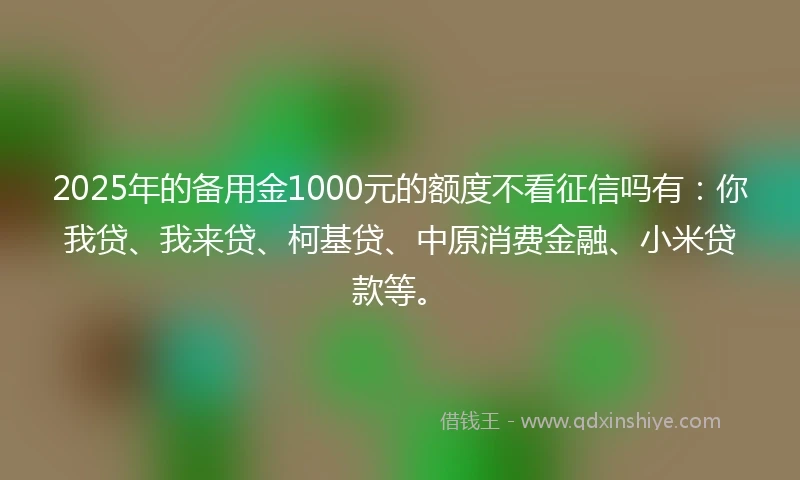 2025年的备用金1000元的额度不看征信吗有：你我贷、我来贷、柯基贷、中原消费金融、小米贷款等。
