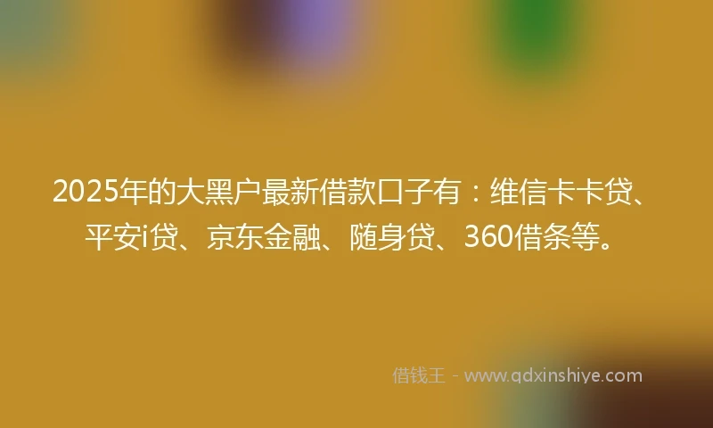 2025年的大黑户最新借款口子有：维信卡卡贷、平安i贷、京东金融、随身贷、360借条等。