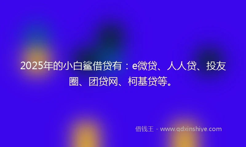 2025年的小白鲨借贷有：e微贷、人人贷、投友圈、团贷网、柯基贷等。
