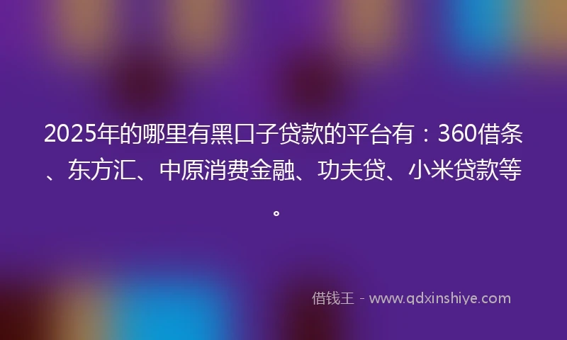 2025年的哪里有黑口子贷款的平台有：360借条、东方汇、中原消费金融、功夫贷、小米贷款等。
