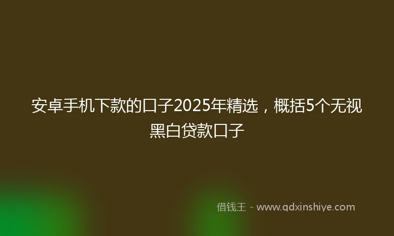 安卓手机下款的口子2025年精选，概括5个无视黑白贷款口子
