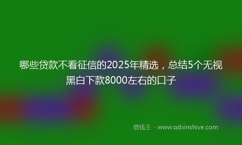 哪些贷款不看征信的2025年精选，总结5个无视黑白下款8000左右的口子