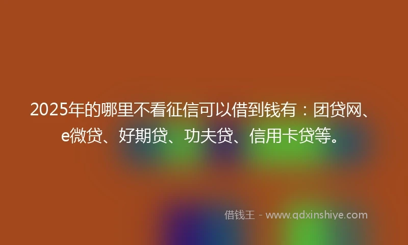 2025年的哪里不看征信可以借到钱有：团贷网、e微贷、好期贷、功夫贷、信用卡贷等。