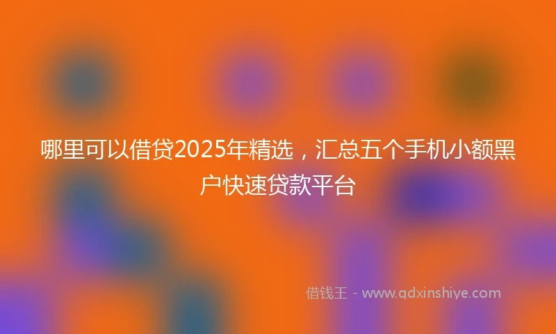 哪里可以借贷2025年精选，汇总五个手机小额黑户快速贷款平台