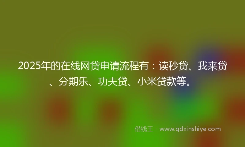2025年的在线网贷申请流程有：读秒贷、我来贷、分期乐、功夫贷、小米贷款等。