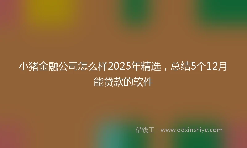 小猪金融公司怎么样2025年精选，总结5个12月能贷款的软件