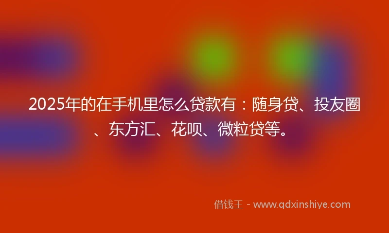 2025年的在手机里怎么贷款有：随身贷、投友圈、东方汇、花呗、微粒贷等。