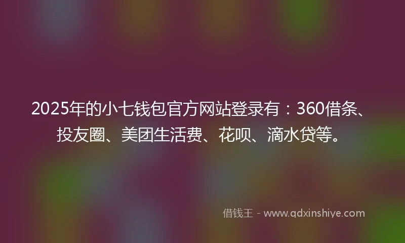 2025年的小七钱包官方网站登录有：360借条、投友圈、美团生活费、花呗、滴水贷等。