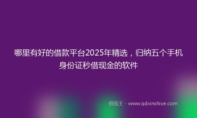 哪里有好的借款平台2025年精选，归纳五个手机身份证秒借现金的软件
