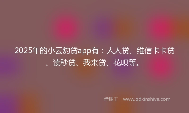 2025年的小云豹贷app有：人人贷、维信卡卡贷、读秒贷、我来贷、花呗等。