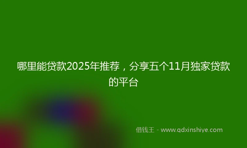 哪里能贷款2025年推荐，分享五个11月独家贷款的平台