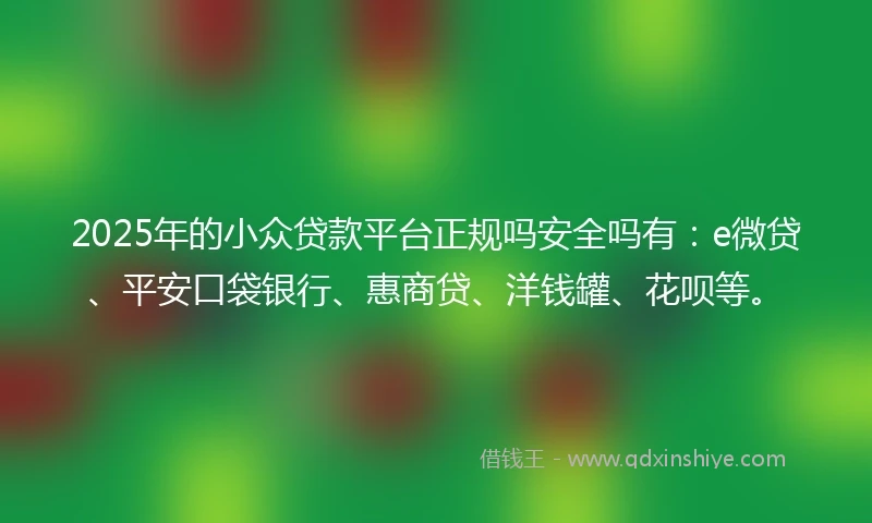 2025年的小众贷款平台正规吗安全吗有：e微贷、平安口袋银行、惠商贷、洋钱罐、花呗等。